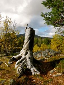 Geocaching in Hovden - Sprachreise nach Norwegen